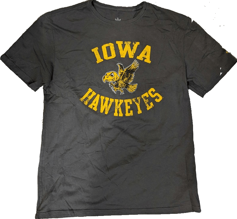 NCAA Mens adidas Iowa Hawkeyes Storm Gray Gym Class Tee
