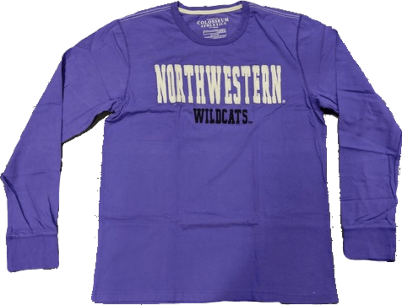 Men's NCAA Northwestern Wildcats Heavyweight Arch Script Long Sleeve Tee By Colosseum