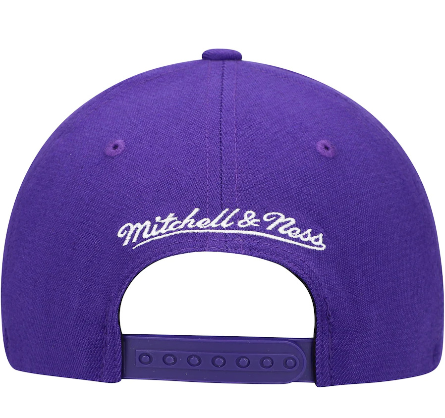 Mens NBA Toronto Raptors Purple Team Ground Snapback Hat By Mitchell And Ness