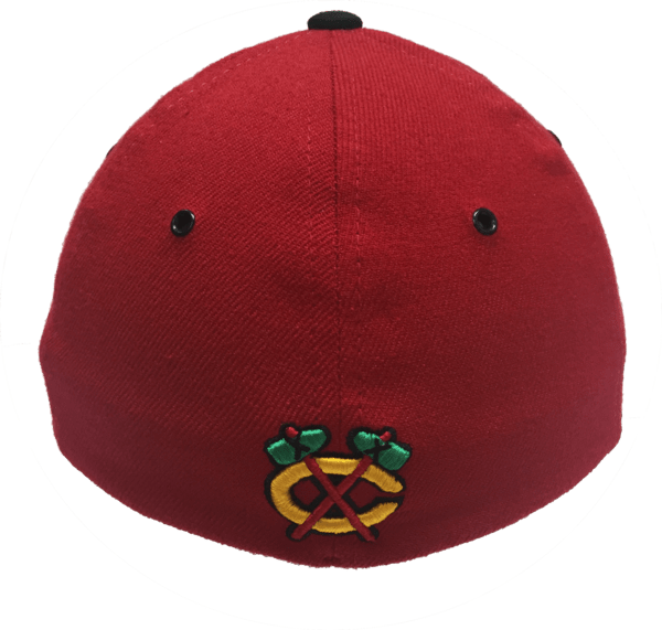 Mens NHL Chicago Blackhawks Pulsar Flex Fit Hat By Zephyr