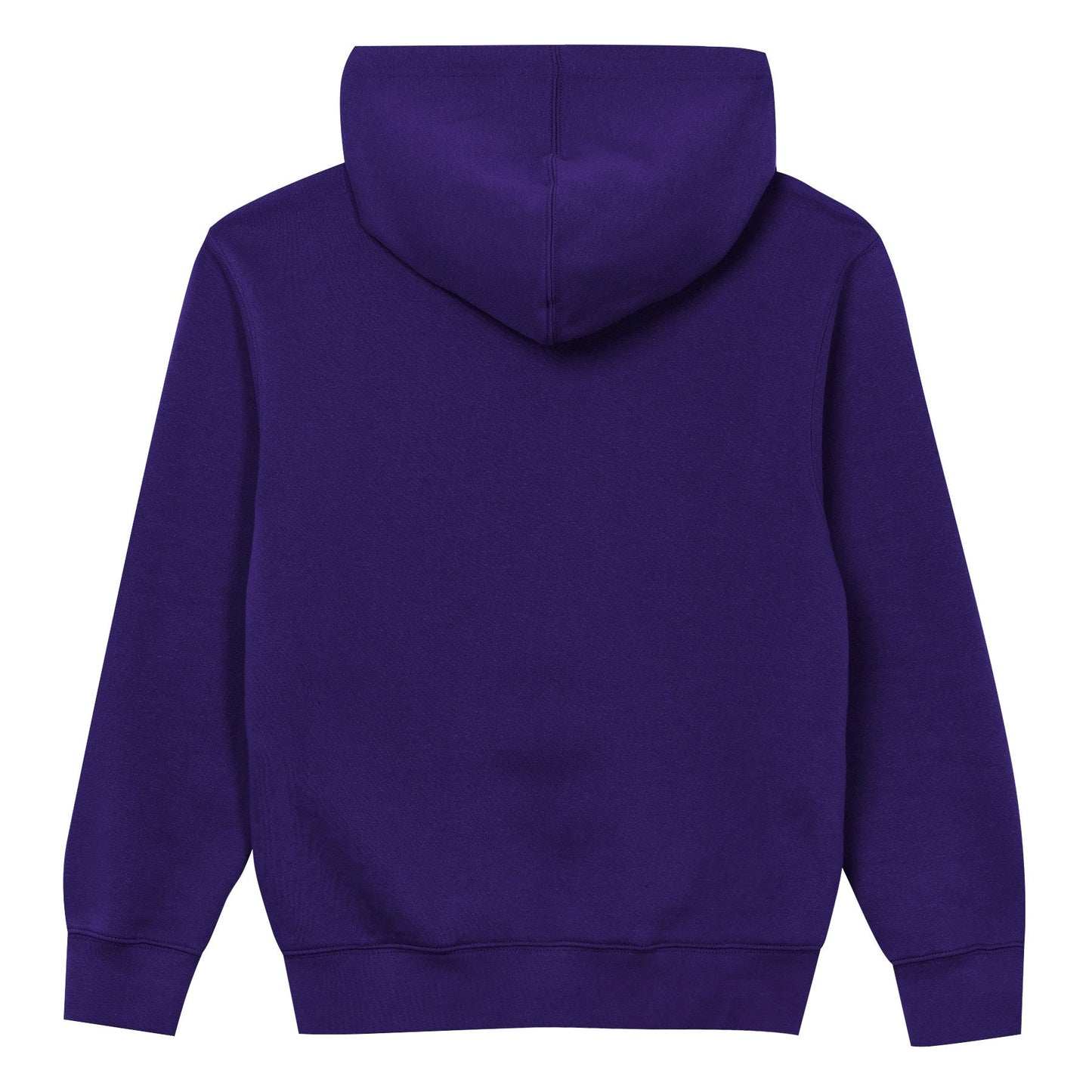 Minnesota Vikings Youth Back to Basics Purple Hoodie