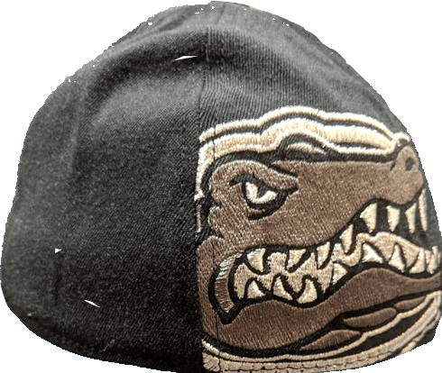 Mens NCAA Florida Gators B.A.F. Black Memory Fit Hat