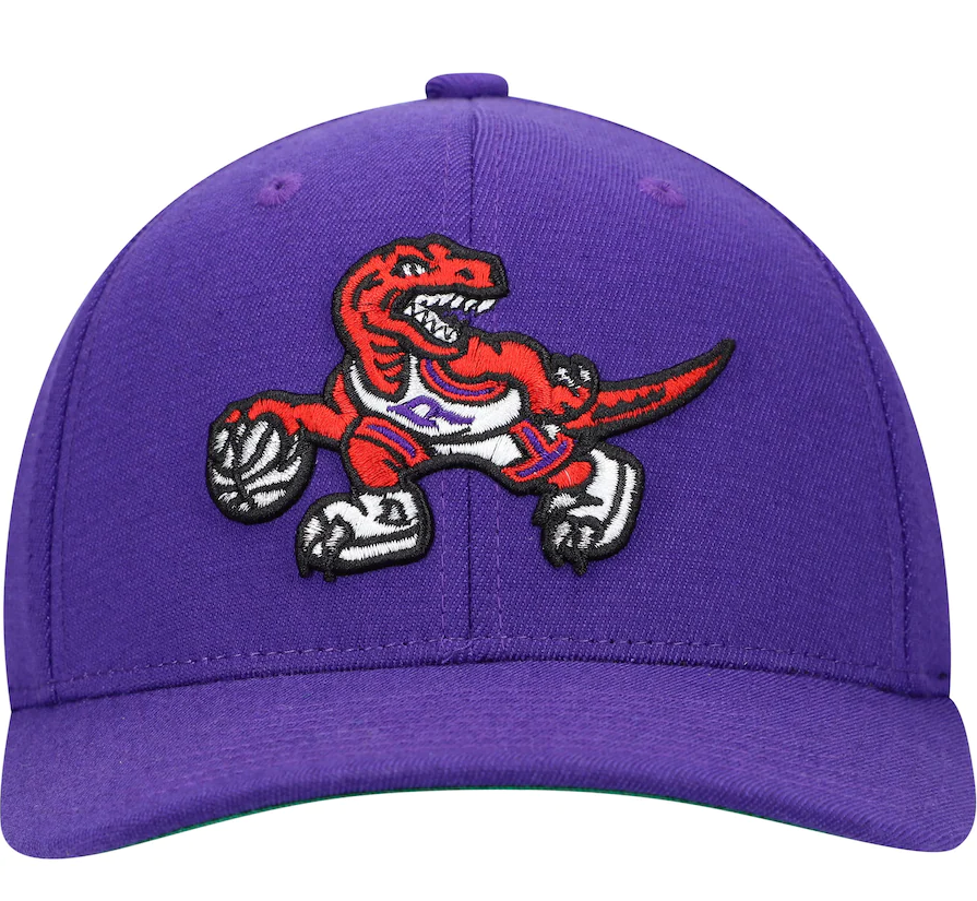 Mens NBA Toronto Raptors Purple Team Ground Snapback Hat By Mitchell And Ness