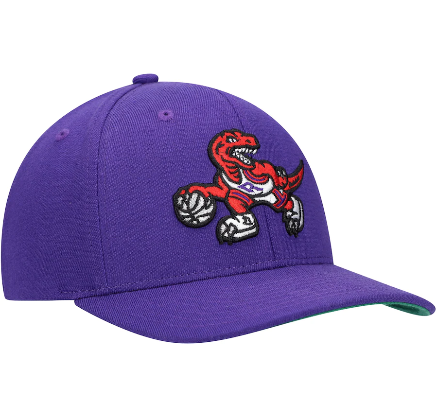 Mens NBA Toronto Raptors Purple Team Ground Snapback Hat By Mitchell And Ness