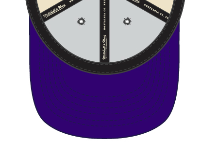 Los Angeles Lakers Mitchell & Ness Natural 2 Tone Snapback Hat- Cream/Purple