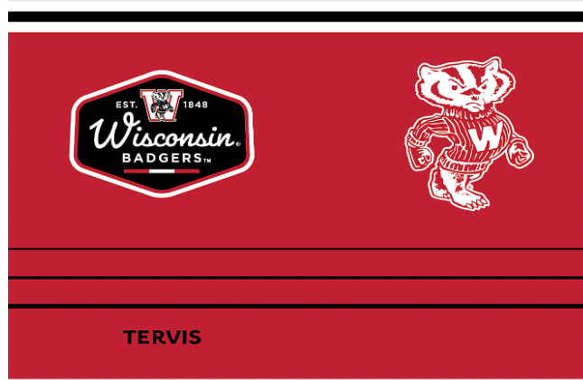 Wisconsin Badgers™ Vintage 20 oz. Stainless Steel Tumbler